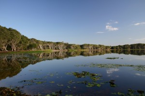 Lake Ainsworth, Lennox Head